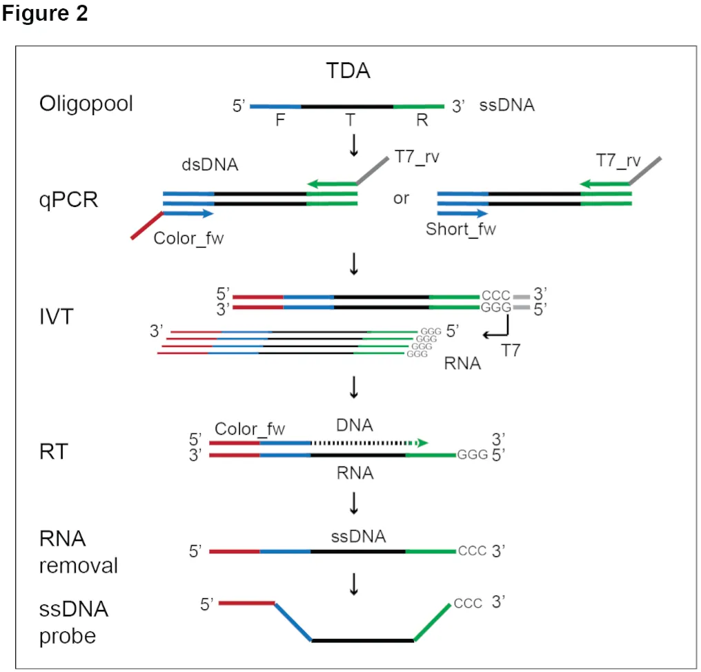 PCR Step